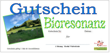 Bioresonanz