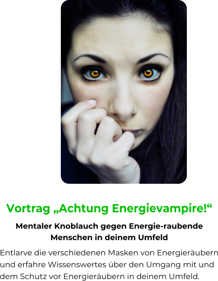 Vortrag Achtung Energievampire